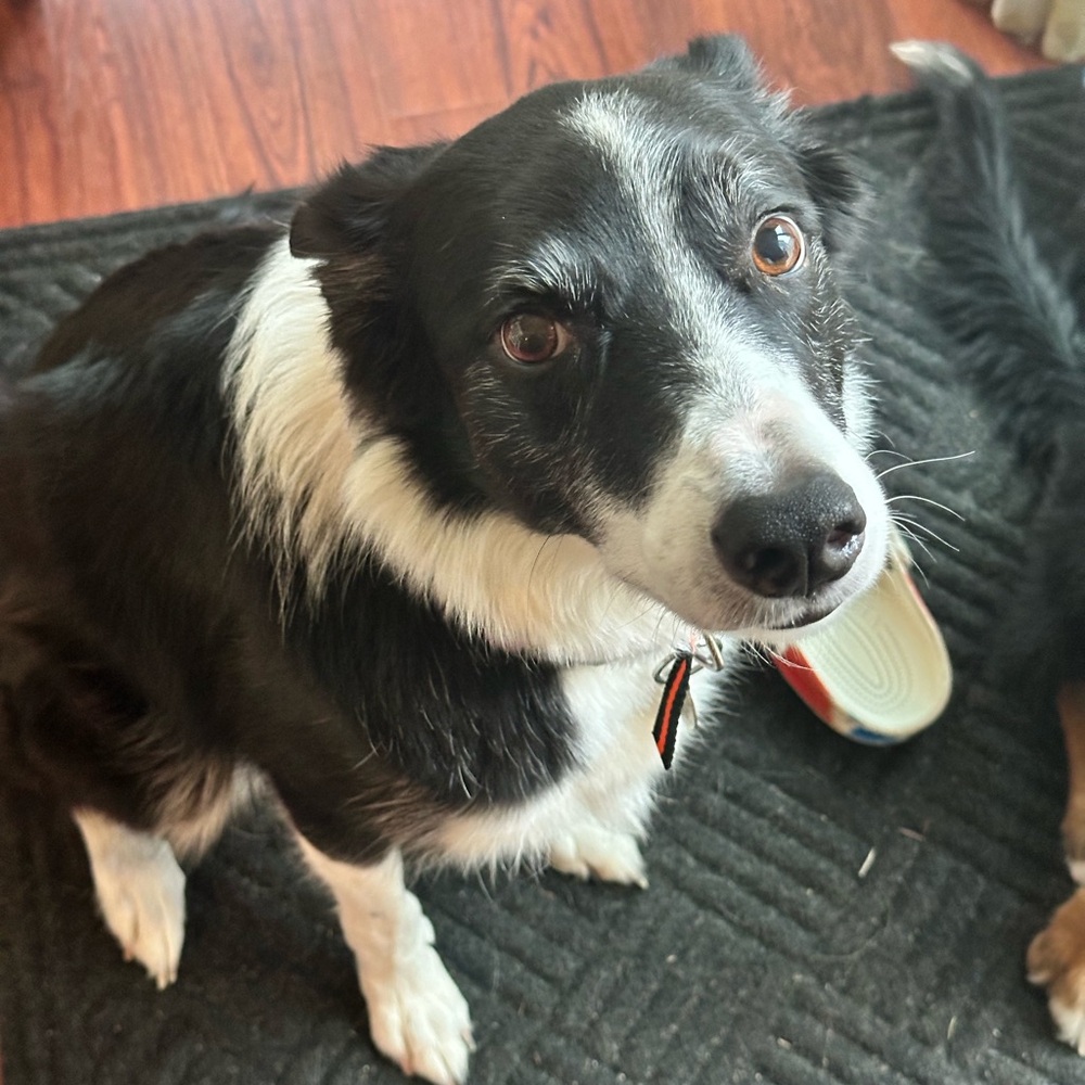 Kay’s Kloset is LIVE!!! - Picture 12 of 16